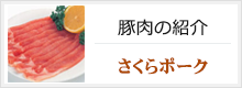 豚肉の紹介