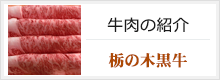 牛肉の紹介